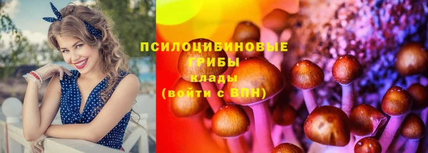 мяу мяу мука Заводоуковск