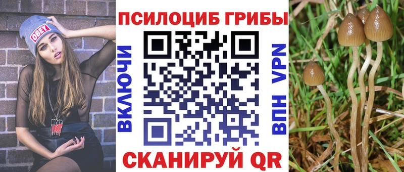 Псилоцибиновые грибы GOLDEN TEACHER  Купить закладки  Иннополис 
